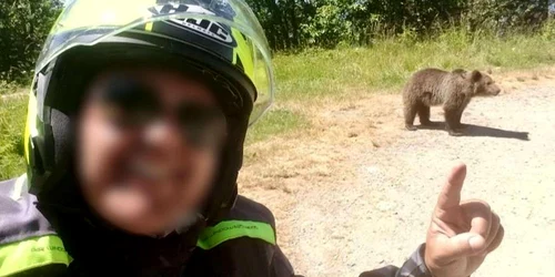 italianul mort pe transfagarasan s a intors sa hraneasca ursoaica agresiva care l a ucis cu o zi in urma filmase alti doi ursi in zona 986438 jpeg