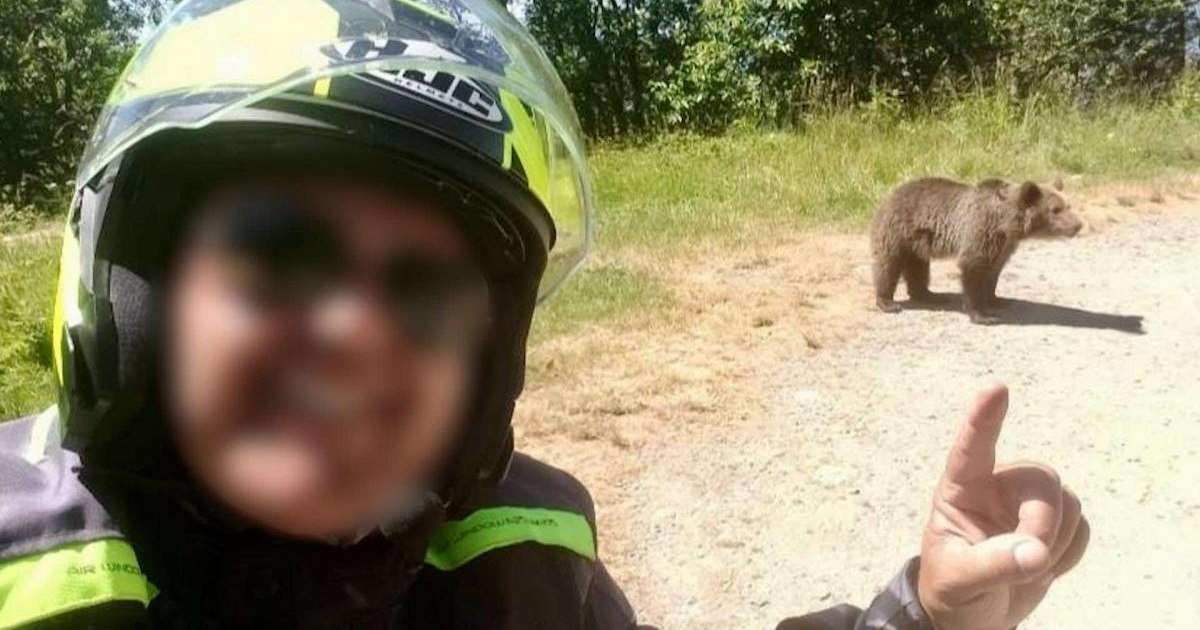Cazul turistului italian ucis de o ursoaică pe Tranfăgărăşan a făcut înconjurul lumii. „Să fie o lecție”
