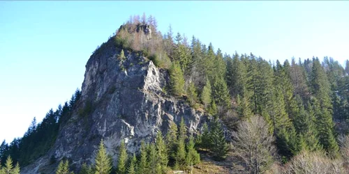 piatra buhii muntii rarau