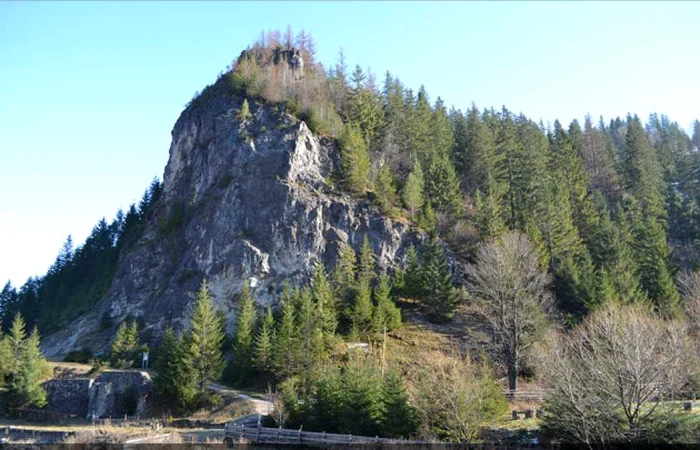 piatra buhii muntii rarau