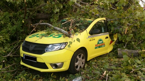 Autoturismul este un taxi