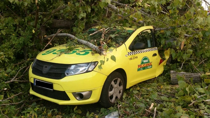 Autoturismul este un taxi 