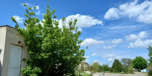 Tabără copii Năvodari FOTO MI