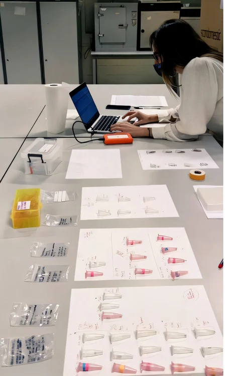Dr. Elena Fiorin cercetează mostrele la Vrije Universiteit Brussel (© Elena Fiorin)