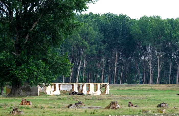 Ruine la Salcia FOTO Arhiepiscopia Dunarii de Jos