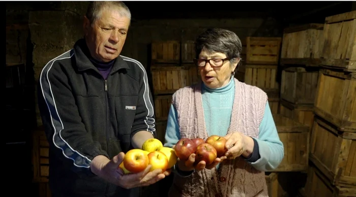 Mihai Popa, pomicultor, este dezamăgit că nu a putut vinde, până acum, merele pe care le ţine în beci. FOTO: C.S