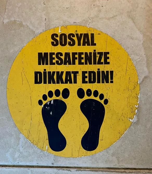 © M.Pleșu
