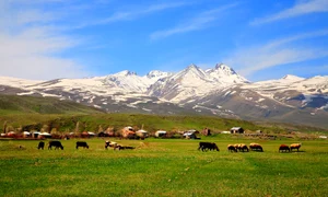 Mount Aragats Armenia summer jpg