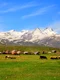 Mount Aragats Armenia summer jpg