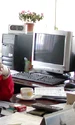 jana gheorghiu jurnalist tv png