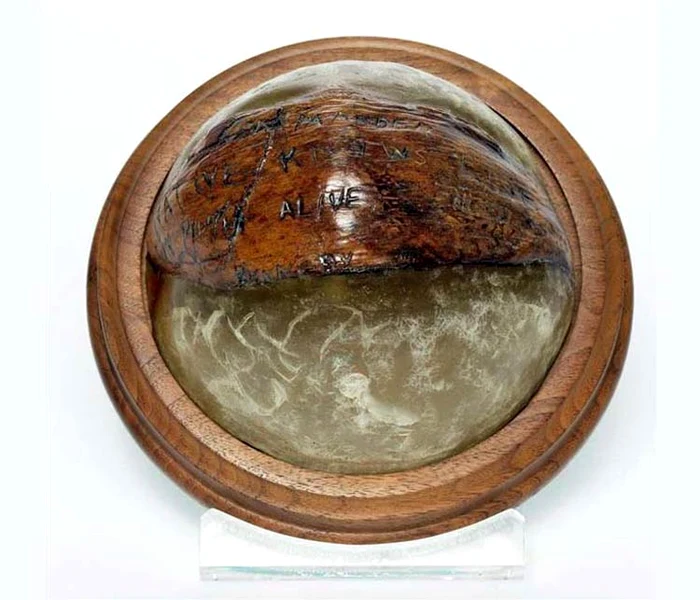 Nuca de cocos de pe biroul președintelui jpeg
