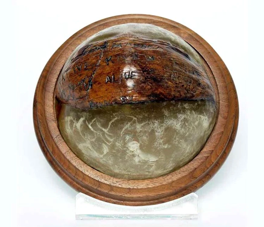 Nuca de cocos de pe biroul președintelui jpeg