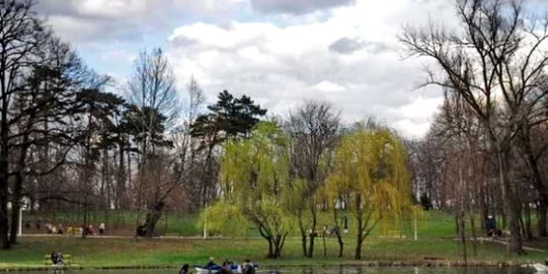 Parcul Nicolae Romanescu va intra într-un proces amplu de modernizare