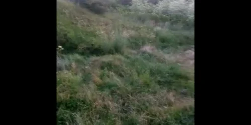 5ef9cc4c5163ec427172cd9e jpg