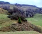 Drumul spre Fundătura Ponorului Foto Daniel Guță ADEVĂRUL (3) jpg