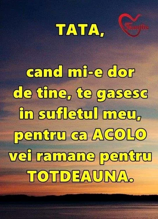 Mesajul postat de Larisa pe Facebook