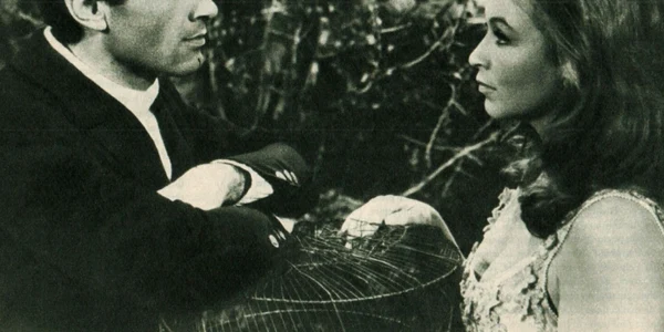 Cristea Avram