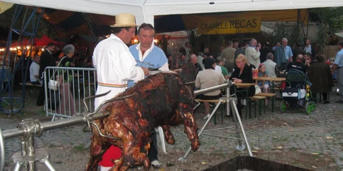 Petrecerea din Cetate va aduca mii de oameni