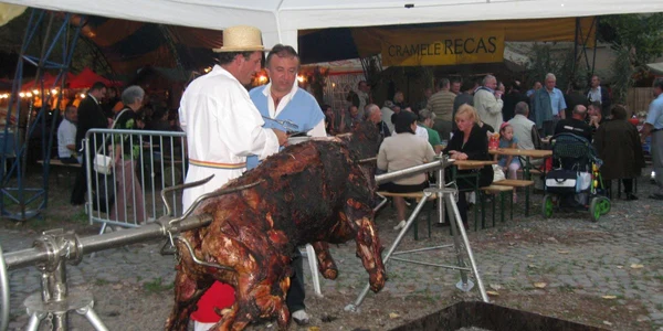 Petrecerea din Cetate va aduca mii de oameni