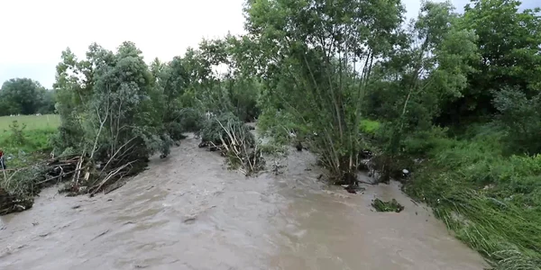 5eea67855163ec4271f957e6 jpg