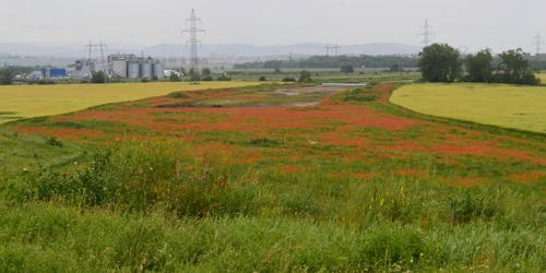 autostrada alba