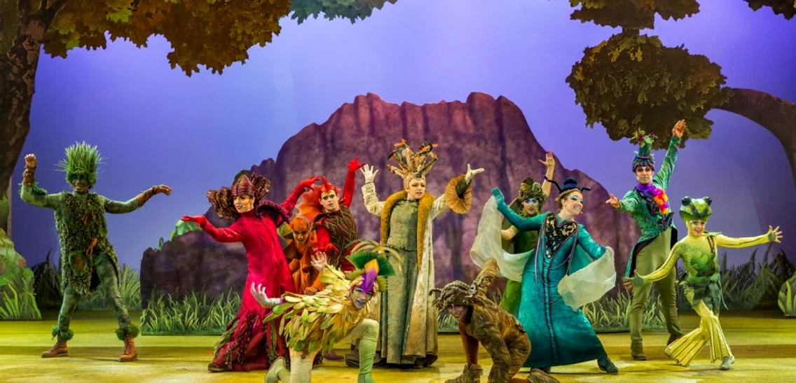 the forest of enchantment foto disney