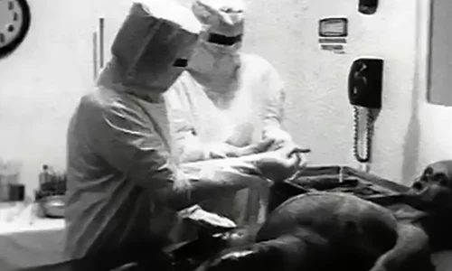 hgh s1 alien autopsy image 01 jpg jpeg