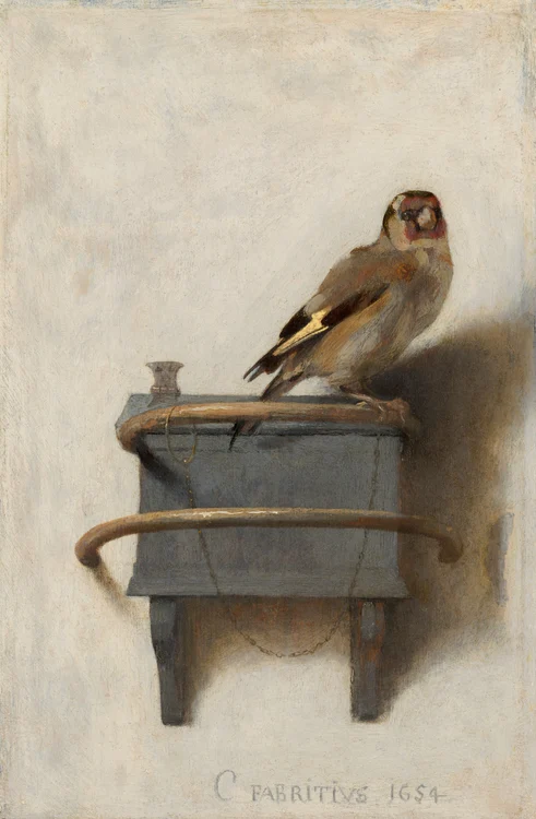 1 Fabritius Sticletele jpg jpeg
