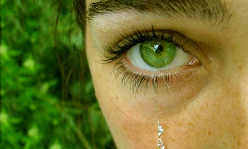 1 66410 original jpg jpeg