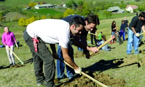 „Scrisul e dinamită pură pentru simţuri“ jpeg