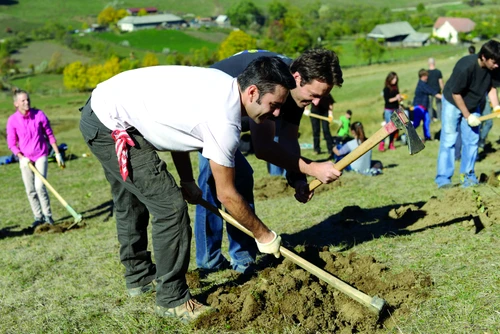 „Scrisul e dinamită pură pentru simţuri“ jpeg