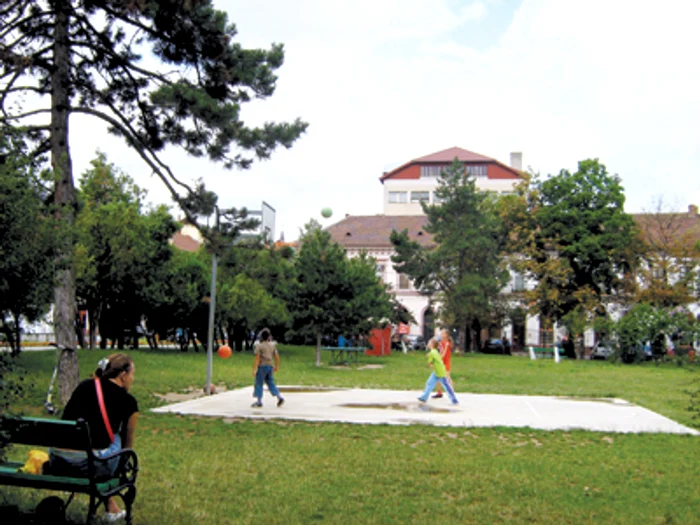 Oradea: Nouă parcuri vor fi în grija firmelor private