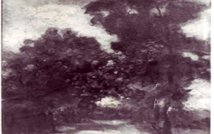 La marginea pădurii