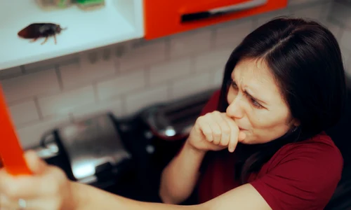 shutterstock 2303033477 jpg