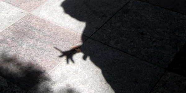 Foto: 20 minutos
