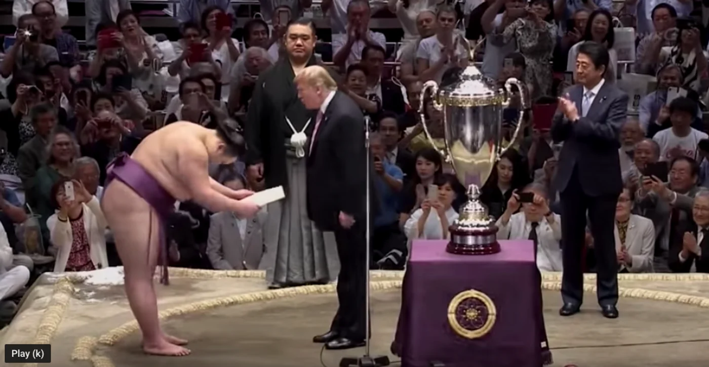 Cu Trump în dohyo png