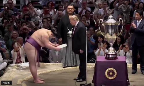 Cu Trump în dohyo png