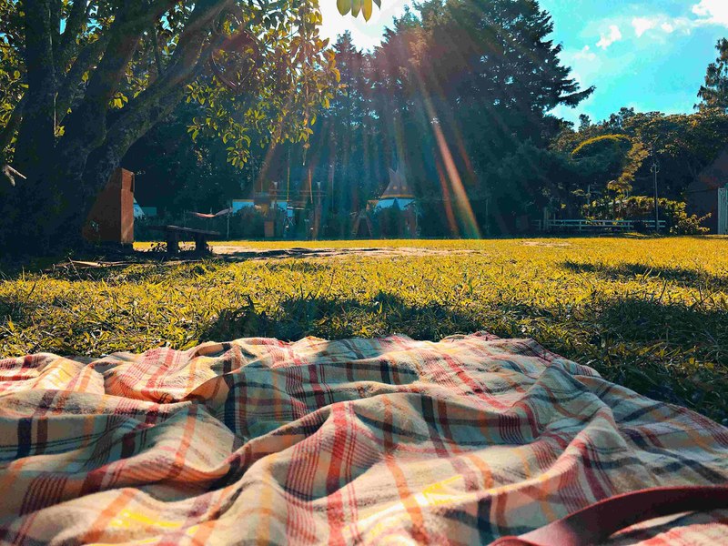 Lăzile frigorifice – Aliatul perfect în călătorii și la picnic