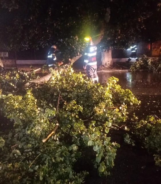 Copaci smulși din rădăcini și doborați de vântul puternic în județul Vâlcea Foto ISU Vâlcea