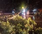 Copaci smulși din rădăcini și doborați de vântul puternic în județul Vâlcea Foto ISU Vâlcea