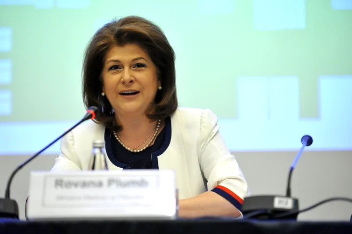 Rovana Plumb încurajeaza administraţiile locale să depună proiecte pentru finanţare europeană FOTO Adevărul