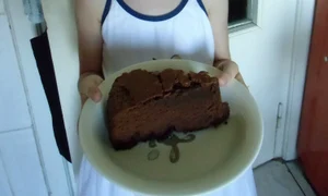 IMG 0114 jpeg