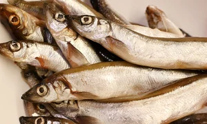fish 8210152 1280 jpg