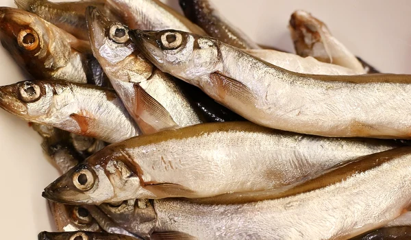 fish 8210152 1280 jpg