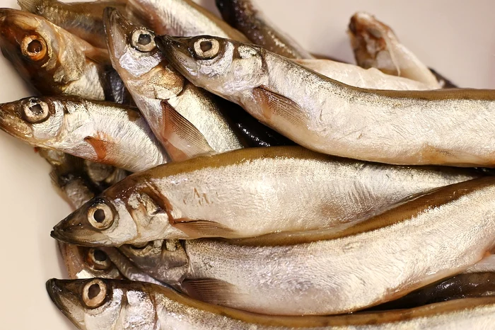 Pește capelin, benefic pentru memorie / FOTO: Pixabay