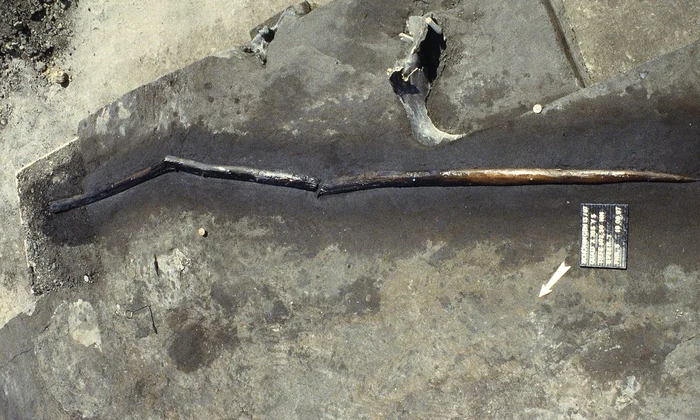 Cum vânau oamenii de Neandertal?  jpeg