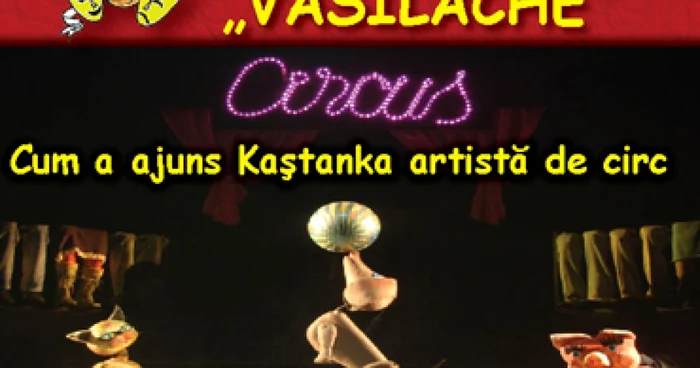 Botoşani: Show la „Vasilache“