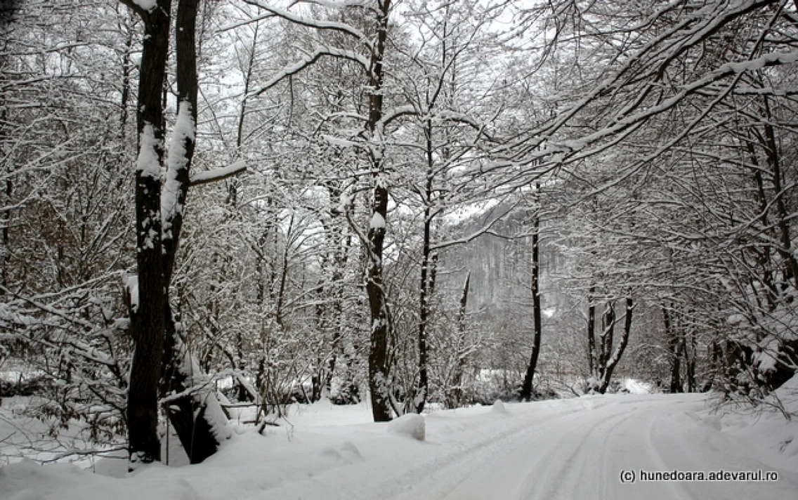 cioclovina foto daniel Guta adevarul