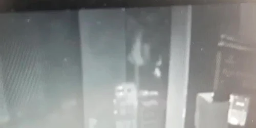 5b5161fedf52022f756e5dc2 jpg