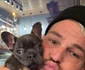 Răzvan Botezatu are tot o cățelușă din rasa Bulldog Francez